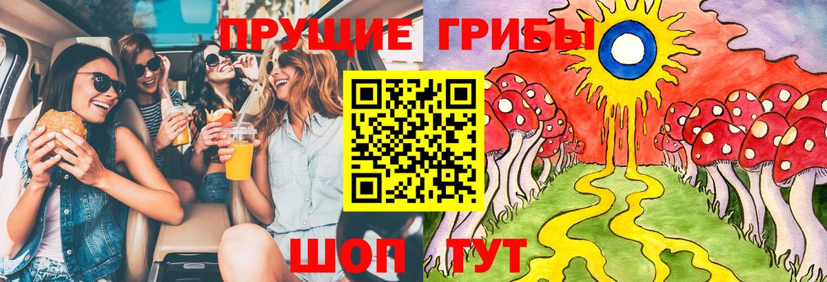 купить   Галлюциногенные грибы прущие грибы  Вход с VPN  Кинель 