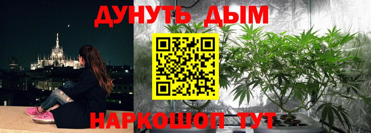 Бошки Шишки ГИДРОПОН Кинель
